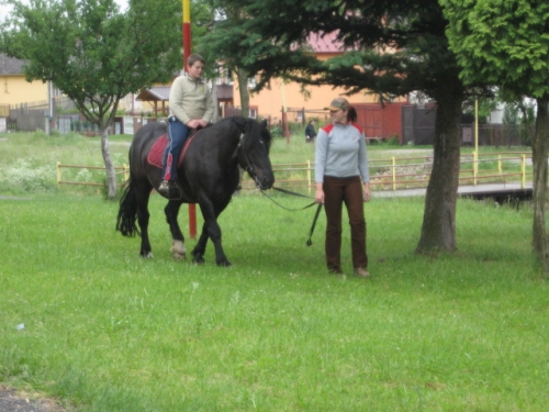 201106240822070.img_1309