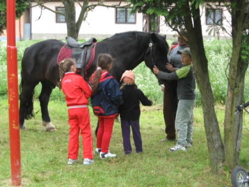 201106240822080.img_1312