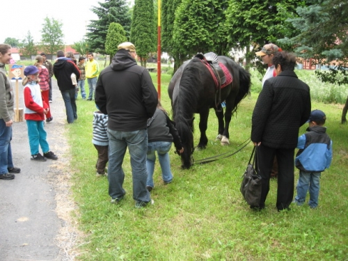 201106240906050.img_1366