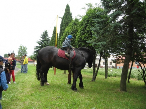 201106240906050.img_1367