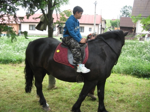 201106240907150.img_1388