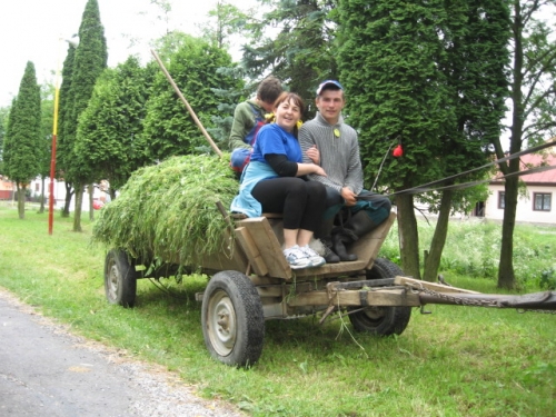 201106240917300.img_1405