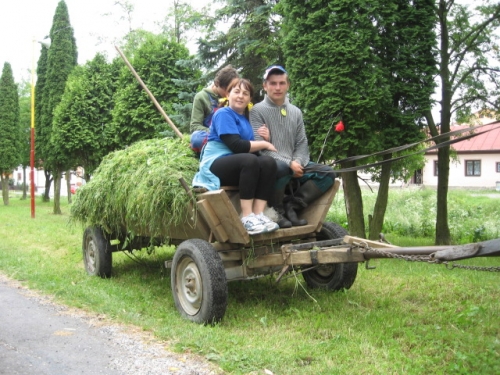 201106240917300.img_1406