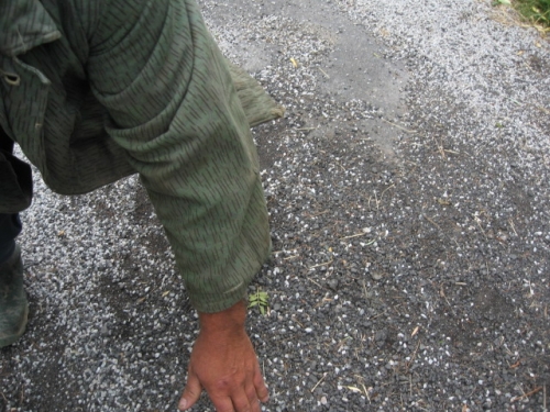 201106240917300.img_1407