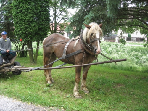 201106240917300.img_1409