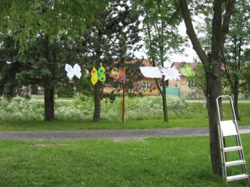 201106240918450.img_1424