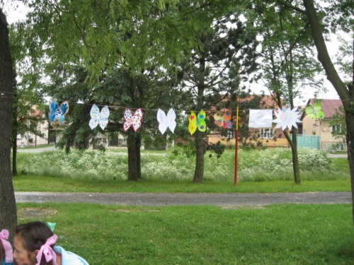 201106240922300.img_1481