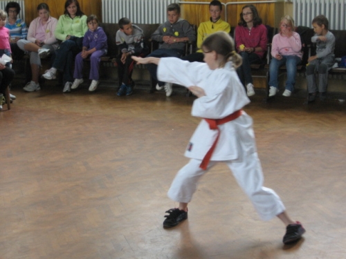 201106240925430.img_1510