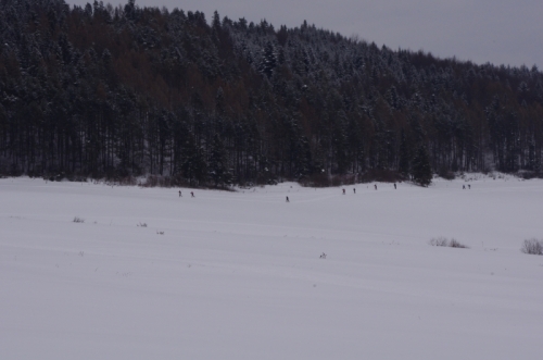 201301281846470.imgp3520