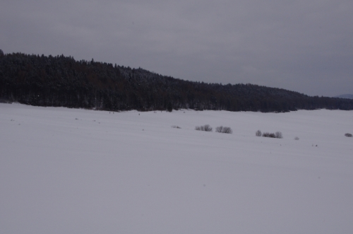 201301281846490.imgp3518