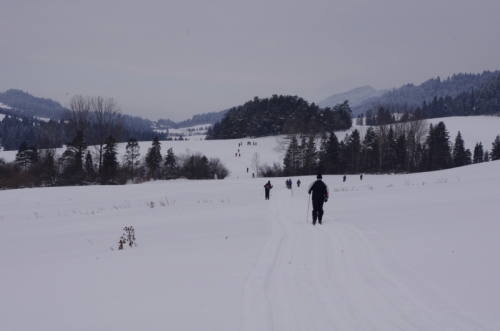 201301281846500.imgp3524