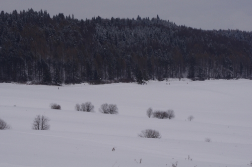 201301281846510.imgp3517