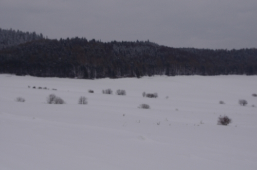 201301281846520.imgp3515