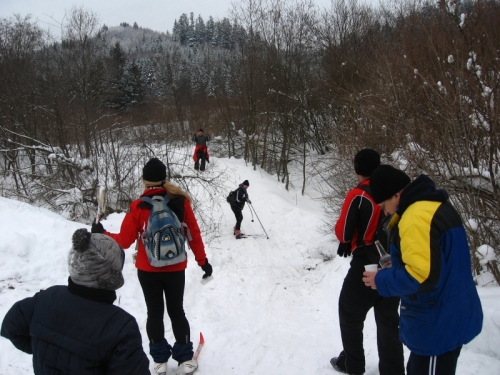 201301291528560.sfrm_835