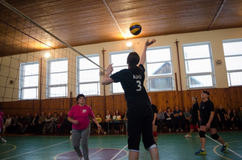 201502030953460.dsc_0991