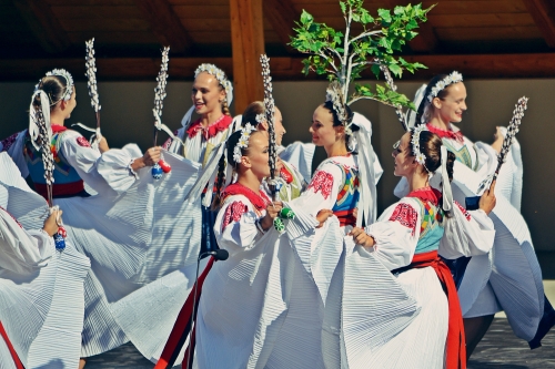 201509141116030.dsc_3149