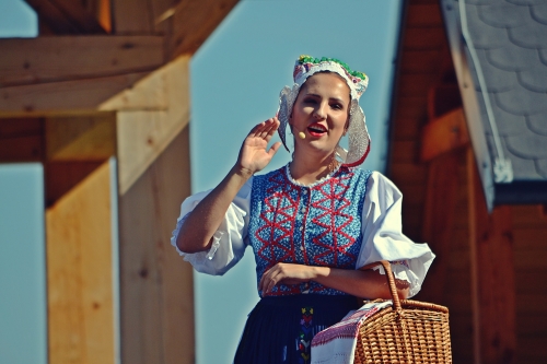 201509141116030.dsc_3281