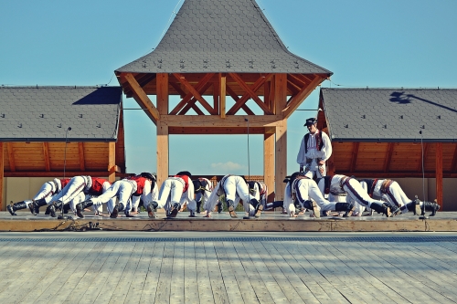 201509141116030.dsc_3431