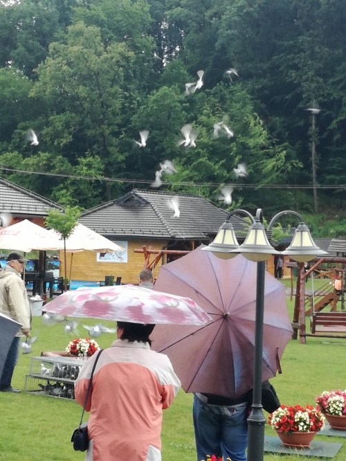 201707180624030.v_kazimir_o_hry_seniorov_010