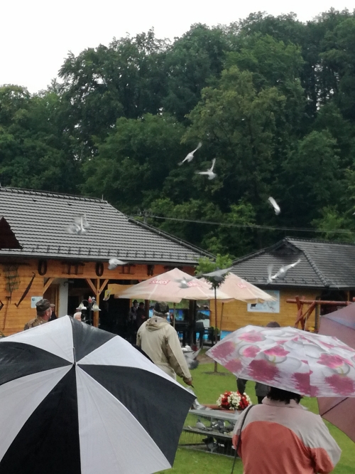 201707180624030.v_kazimir_o_hry_seniorov_011