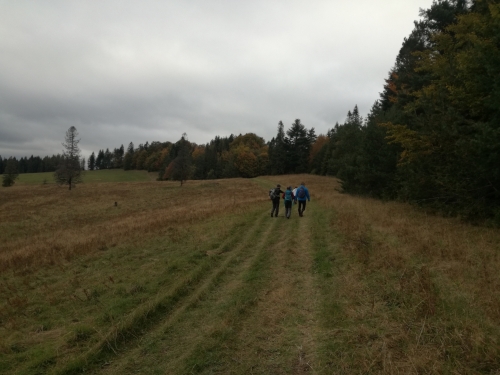 201710310929560.spomienkovy_pochod_3_roc_8_10_2017_031