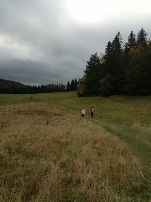 201710310929560.spomienkovy_pochod_3_roc_8_10_2017_033