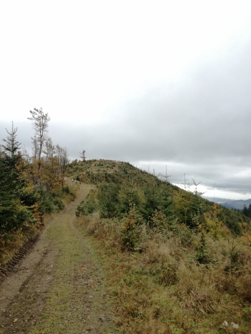 201710310929560.spomienkovy_pochod_3_roc_8_10_2017_058