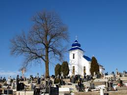 201805031128220.cintorin