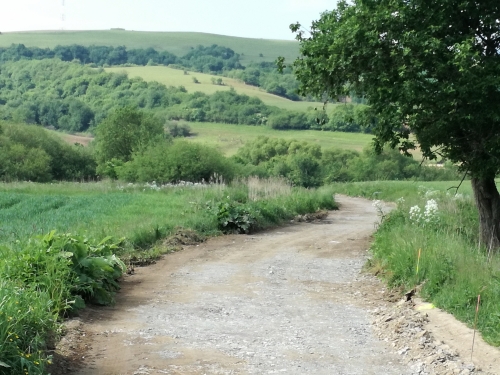 201805240953580.cyklo_trasa_2018_006