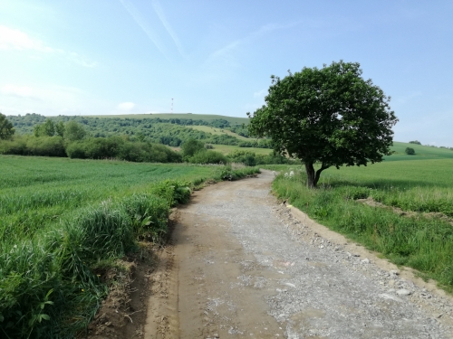 201805240953580.cyklo_trasa_2018_007