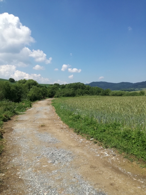 201806150935050.vystavba_cyklotrasy_k_u_kamienka_2018_2_024