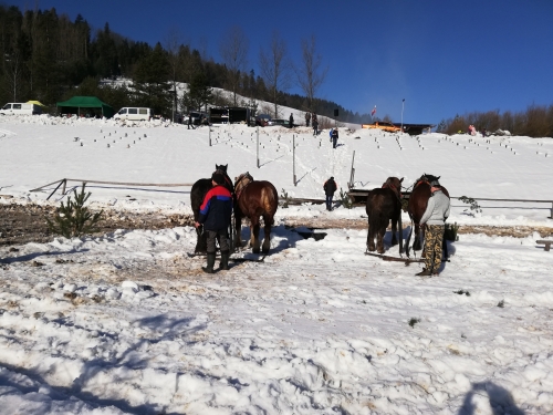201904101256280.xiv-roc-kamjunska-podkova-2019-001