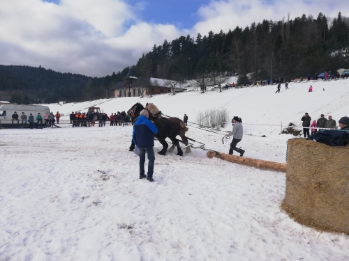 202007301317430.furmanske-15-roc-2020-008