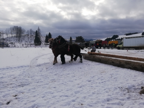 202007301317430.furmanske-15-roc-2020-009