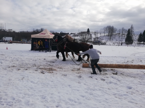 202007301317430.furmanske-15-roc-2020-011