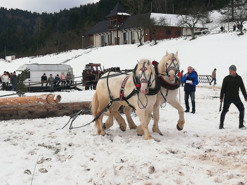 202007301317430.furmanske-15-roc-2020-020