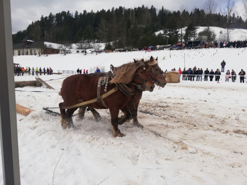 202007301317430.furmanske-15-roc-2020-022