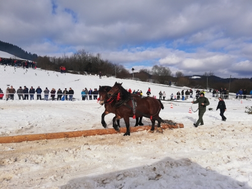 202007301321390.furmanske-15-roc-2020-025
