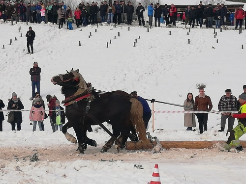 202007301321390.furmanske-15-roc-2020-026