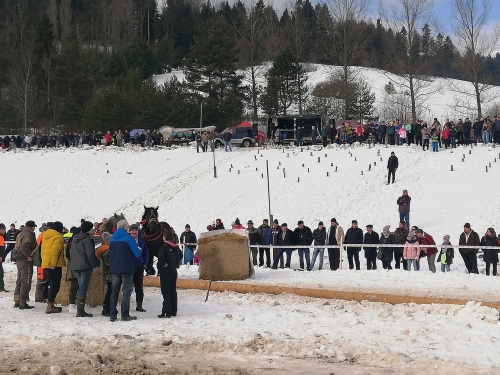 202007301325370.furmanske-15-roc-2020-031