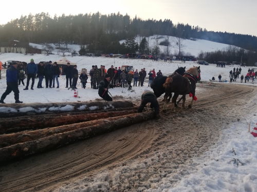 202007301325370.furmanske-15-roc-2020-052