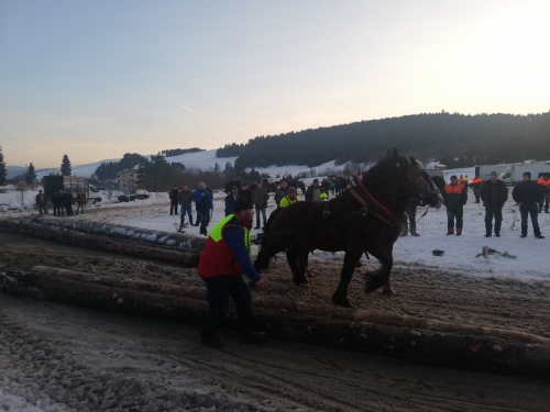 202007301325370.furmanske-15-roc-2020-055