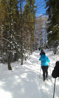 Športovo - turistické podujatie "Po kamjunskych stežkach" – fotografia 13