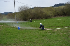 Fotografia: 700. VÝROČIE PRVEJ PÍSOMNEJ ZMIENKY O OBCI KAMIENKA