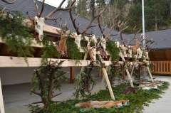 Fotografia: 700. VÝROČIE PRVEJ PÍSOMNEJ ZMIENKY O OBCI KAMIENKA