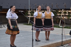 Fotografia: 700. VÝROČIE PRVEJ PÍSOMNEJ ZMIENKY O OBCI KAMIENKA