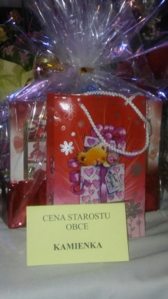 BABIČKA OKRESU STARÁ ĽUBOVŇA – fotografia 4