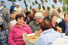 Fotografia: 10. ročník športových hier seniorov 