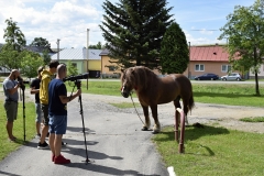 Fotografia: NAJ DEDINKA SLOVENSKA - nedeľa