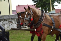 Fotografia: NAJ DEDINKA SLOVENSKA - nedeľa